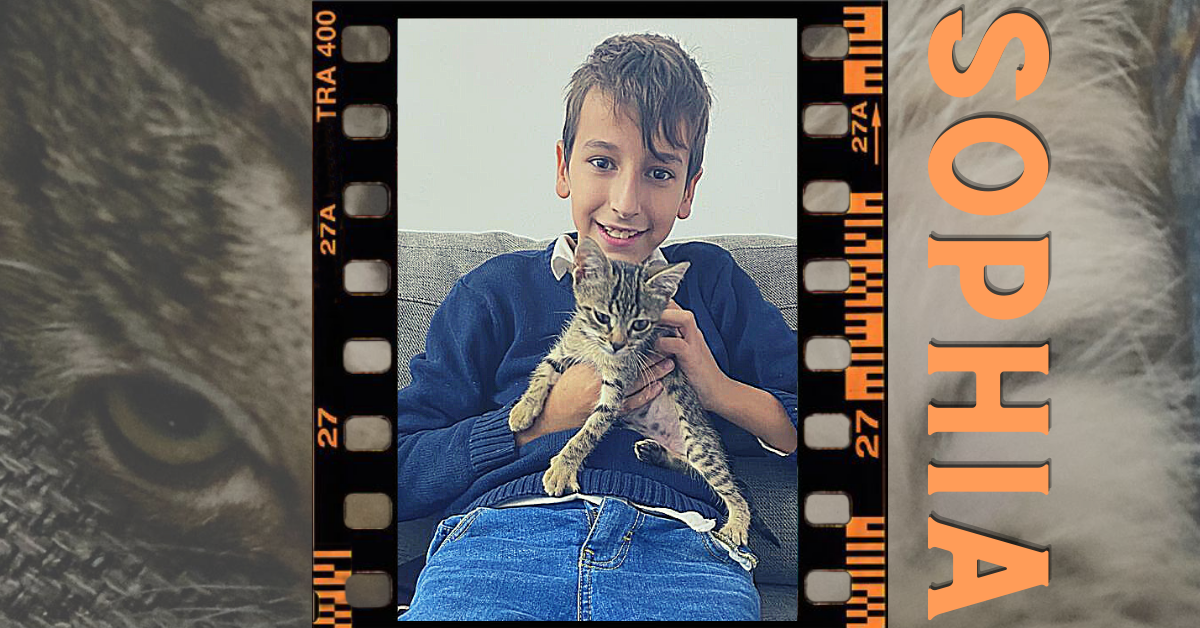 niño sujetando un gato adoptado a rayas sophia