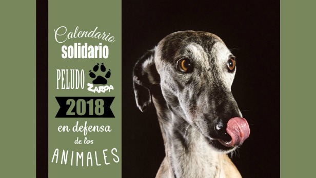 Calendarios Solidarios de Perros y Gatos Zarposos 2018 Calendarios Solidarios de Perros y Gatos Zarposos 2018
