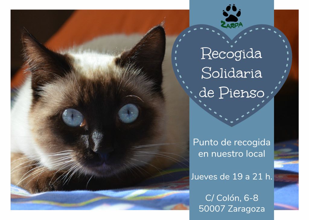 Recogida Solidaria de Pienso Recogida Solidaria de Pienso