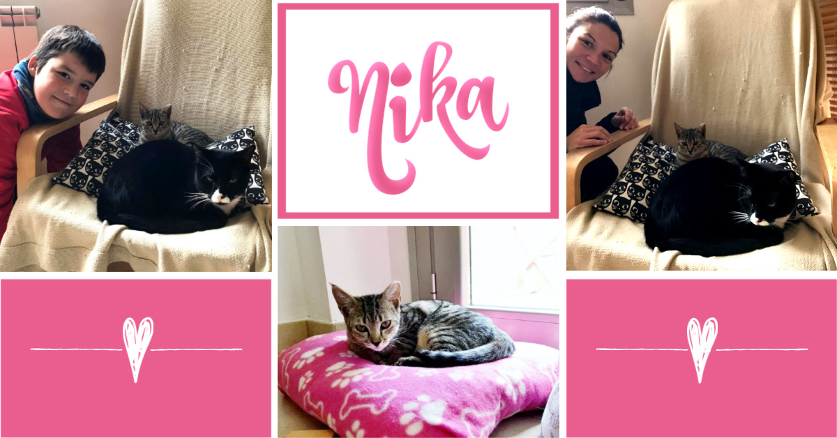 ¡Nika adoptada! ¡Nika adoptada!
