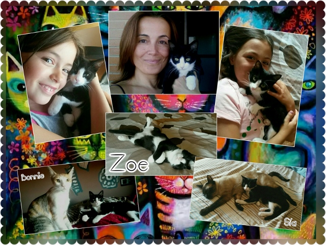 ¡Zoe adoptada! ¡Zoe adoptada!