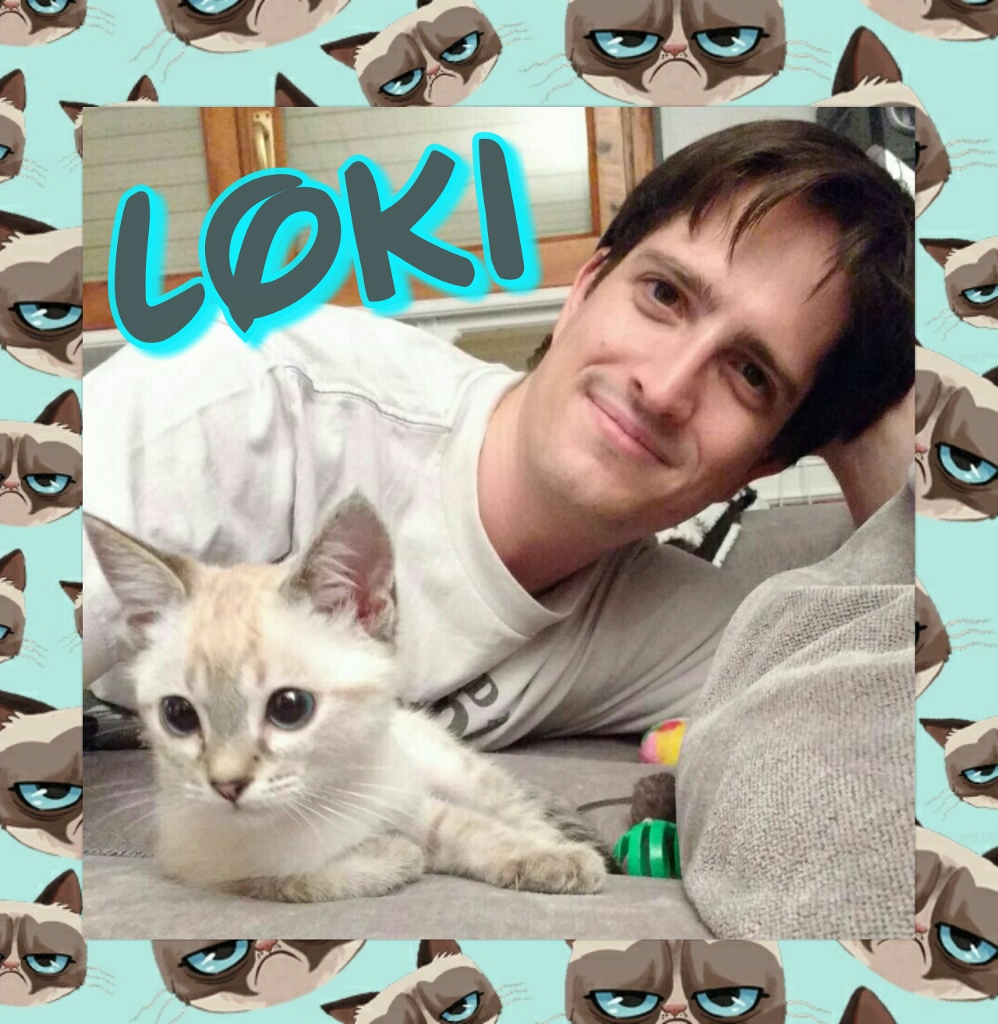 ¡Loki, antes Patricio, adoptado! ¡Loki, antes Patricio, adoptado!